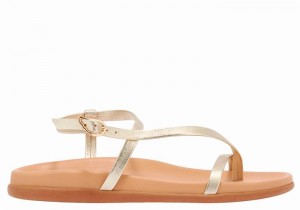 Ancient Greek Sandals Aimilia Women Back-Strap Sandals Gold White | FSN4632CF