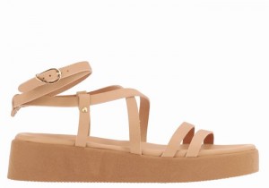 Ancient Greek Sandals Aristea Leather Women Platform Sandals Beige | GTB6162MC