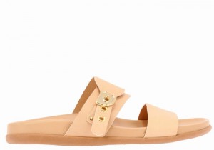 Ancient Greek Sandals Latria Women Slide Sandals Beige | XKB2461IV