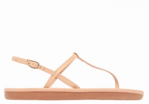 Ancient Greek Sandals Lito Flip Flop Women Back-Strap Sandals Beige | GSK4654SN