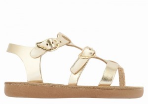 Ancient Greek Sandals Little Grace Kelly Soft Kids' Flat Sandals Gold White | OGJ223KN