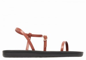 Ancient Greek Sandals Niove Women Back-Strap Sandals Dark Brown | AOT1562ZA