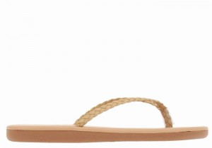 Ancient Greek Sandals Plage Flip Flop Women Braided Sandals Beige | WKB6818FM