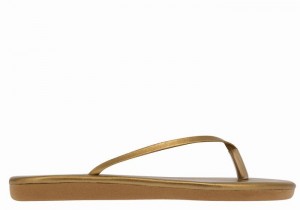 Ancient Greek Sandals Saionara Women Flip Flops Gold Brown | VWV3753QQ