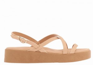 Ancient Greek Sandals Silia Leather Women Platform Sandals Beige | BAR3438SN