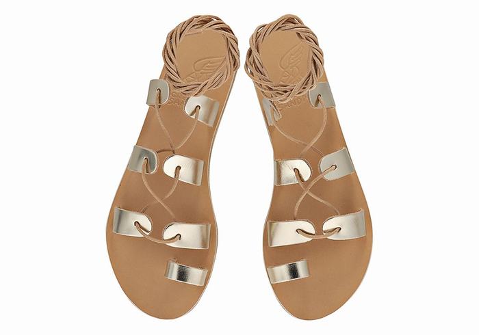 Ancient Greek Sandals Alcyone Leather Women Gladiator Sandals Gold White | JAU4744TB