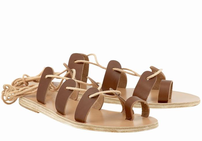 Ancient Greek Sandals Alcyone Leather Women Gladiator Sandals Dark Brown | KSJ8683WD