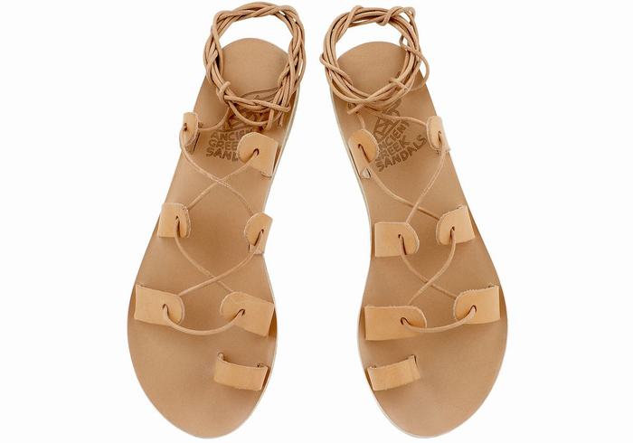 Ancient Greek Sandals Alcyone Leather Women Gladiator Sandals Beige | ZQD2523EJ