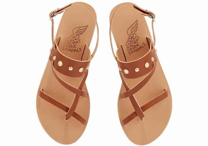 Ancient Greek Sandals Alethea Bee Women Back-Strap Sandals Dark Brown | WWV444AJ