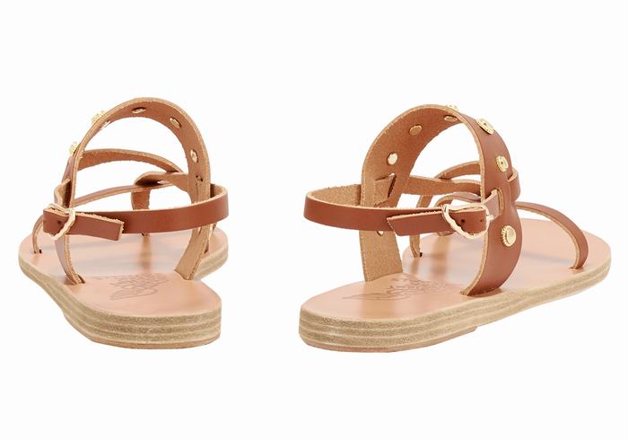 Ancient Greek Sandals Alethea Bee Women Back-Strap Sandals Dark Brown | WWV444AJ