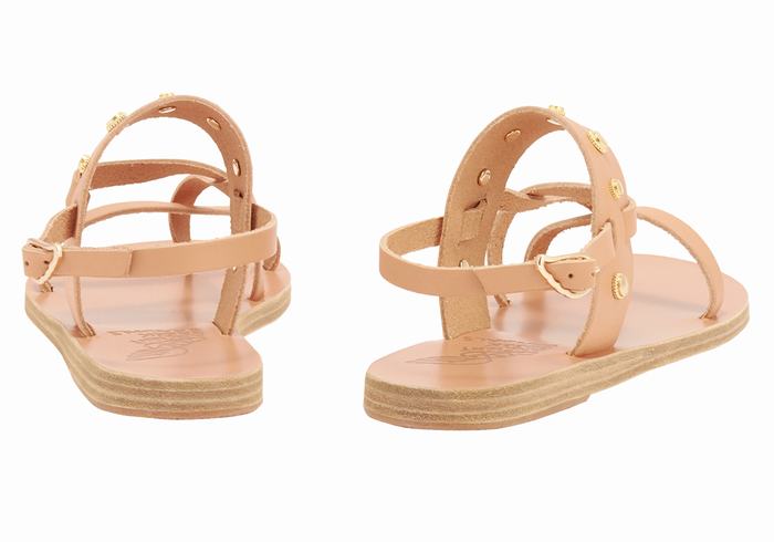 Ancient Greek Sandals Alethea Bee Women Back-Strap Sandals Beige | PYQ1660WJ