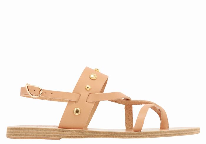 Ancient Greek Sandals Alethea Bee Women Back-Strap Sandals Beige | PYQ1660WJ