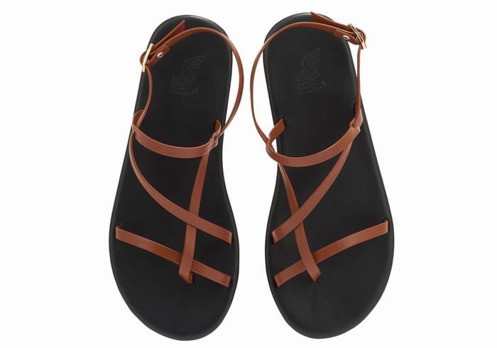 Ancient Greek Sandals Alethea Women Back-Strap Sandals Dark Brown | RMH6629FQ