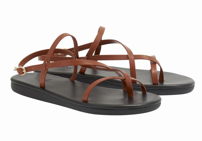 Ancient Greek Sandals Alethea Women Back-Strap Sandals Dark Brown | RMH6629FQ