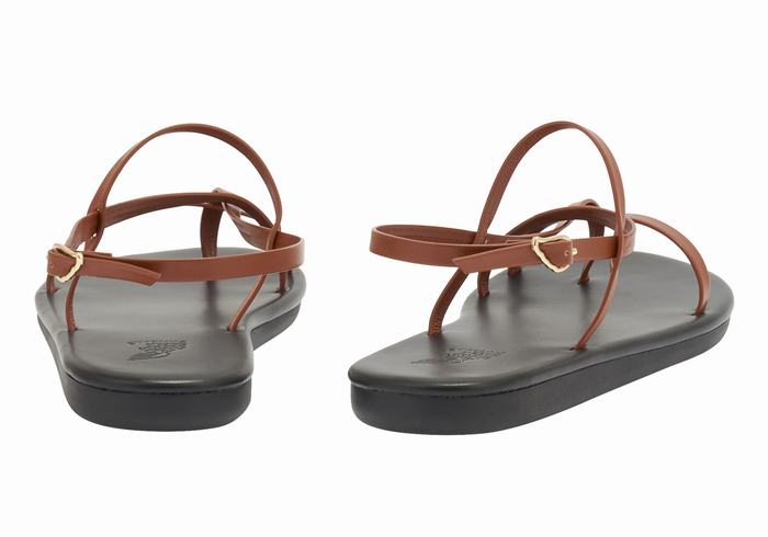 Ancient Greek Sandals Alethea Women Back-Strap Sandals Dark Brown | RMH6629FQ