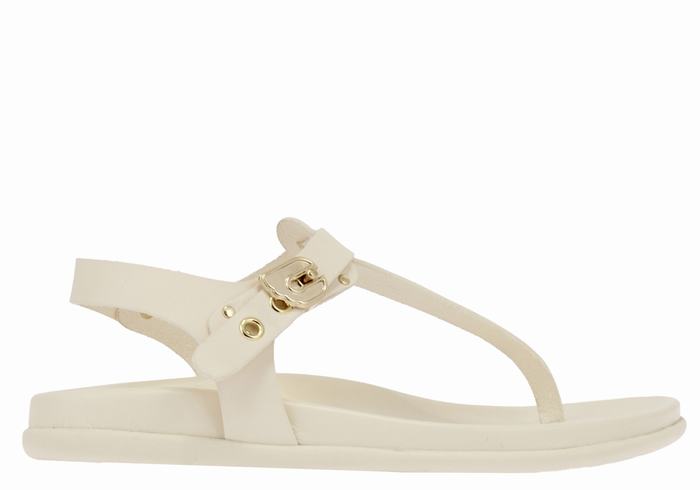 Ancient Greek Sandals Alki Flip Flop Women Back-Strap Sandals White | RWJ1314FO