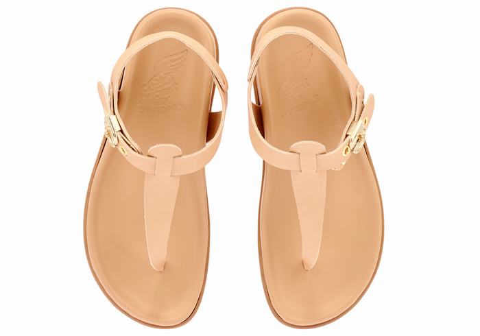 Ancient Greek Sandals Alki Flip Flop Women Back-Strap Sandals Beige | ZHD5911IT