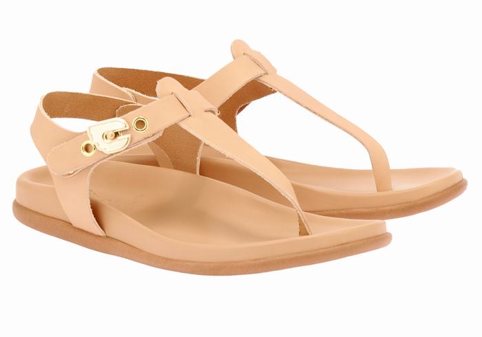 Ancient Greek Sandals Alki Flip Flop Women Back-Strap Sandals Beige | ZHD5911IT