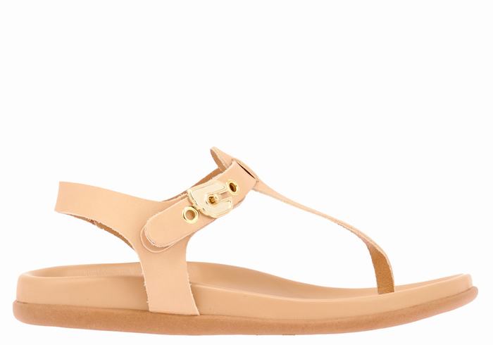 Ancient Greek Sandals Alki Flip Flop Women Back-Strap Sandals Beige | ZHD5911IT