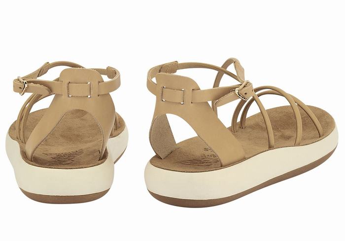 Ancient Greek Sandals Anastasia Comfort Women Ankle Strap Sandals Beige | ZZC10040MF