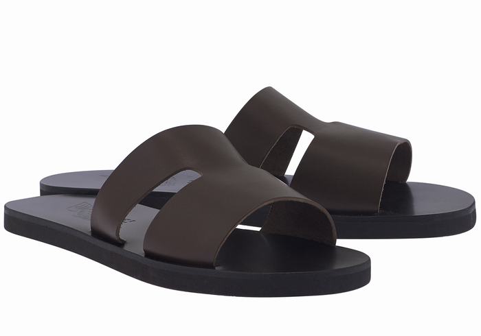 Ancient Greek Sandals Apteros Men Slide Sandals Chocolate | UXD8173KH