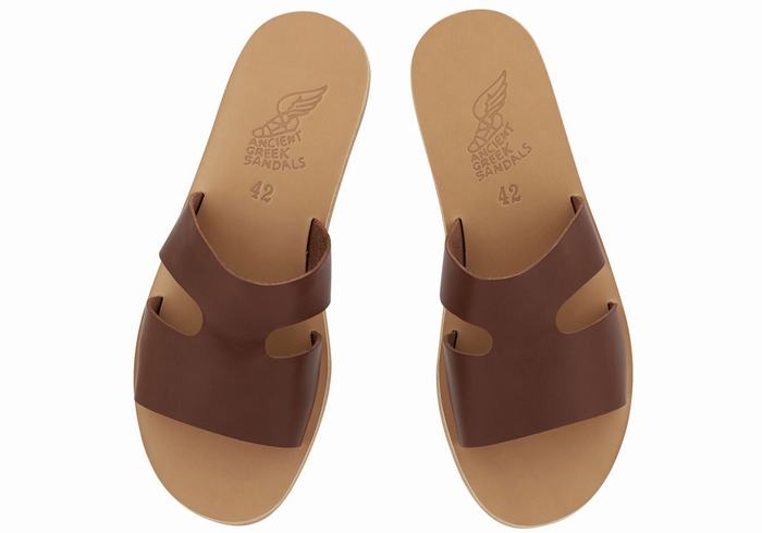 Ancient Greek Sandals Apteros Men Slide Sandals Coffee | IIB6816SI