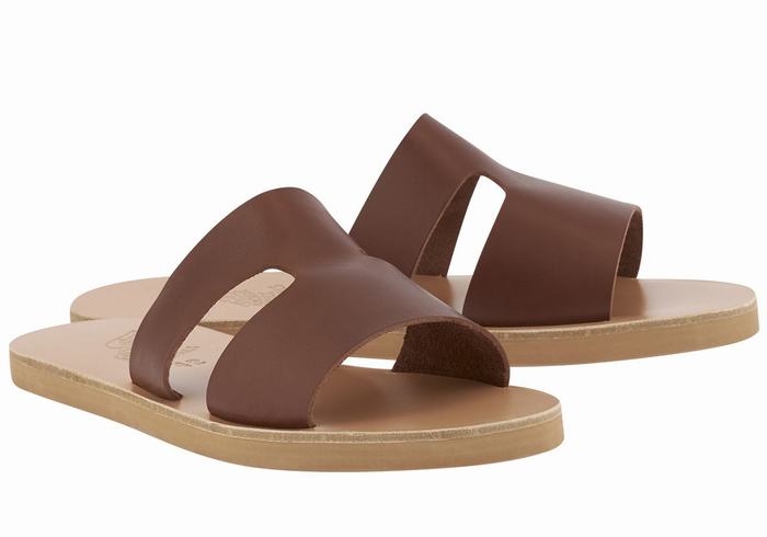 Ancient Greek Sandals Apteros Men Slide Sandals Coffee | IIB6816SI