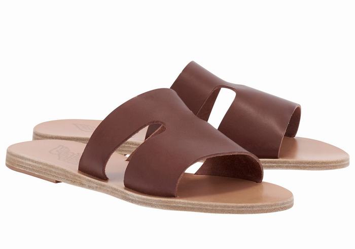 Ancient Greek Sandals Apteros Women Slide Sandals Coffee | BLA1092XP