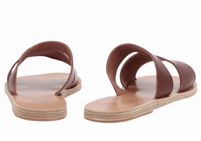 Ancient Greek Sandals Apteros Women Slide Sandals Coffee | BLA1092XP