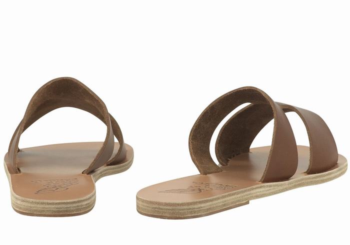 Ancient Greek Sandals Apteros Women Slide Sandals Dark Brown | VBH1438LG