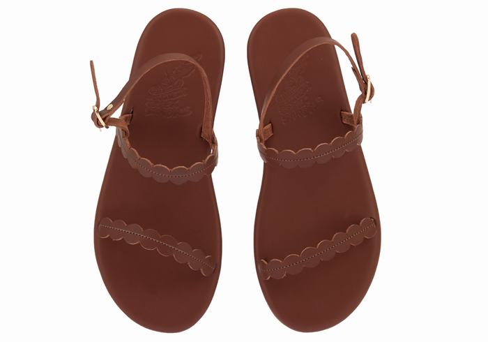 Ancient Greek Sandals Aroula Women Back-Strap Sandals Coffee | JES944LZ