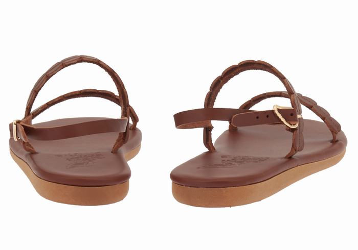 Ancient Greek Sandals Aroula Women Back-Strap Sandals Coffee | JES944LZ