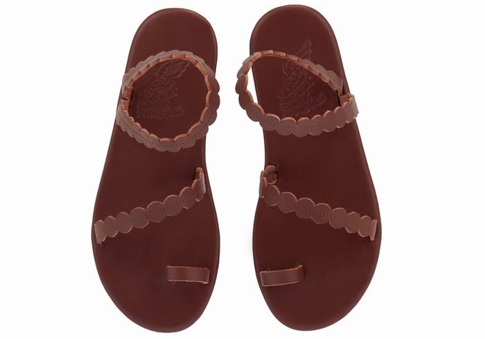 Ancient Greek Sandals Aura Women Toe-Post Sandals Coffee | XSY579GZ