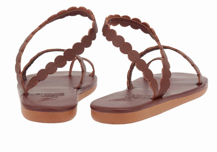 Ancient Greek Sandals Aura Women Toe-Post Sandals Coffee | XSY579GZ