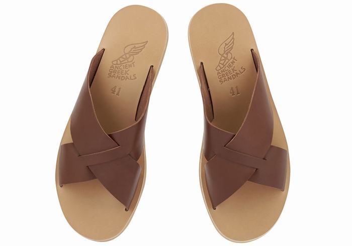 Ancient Greek Sandals Bios Men Slide Sandals Coffee | UYV1987XI