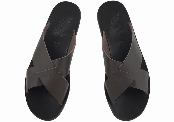 Ancient Greek Sandals Bios Men Slide Sandals Chocolate | WGP9646GT