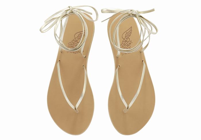 Ancient Greek Sandals Celia Women Gladiator Sandals Gold White | XFT10029EM