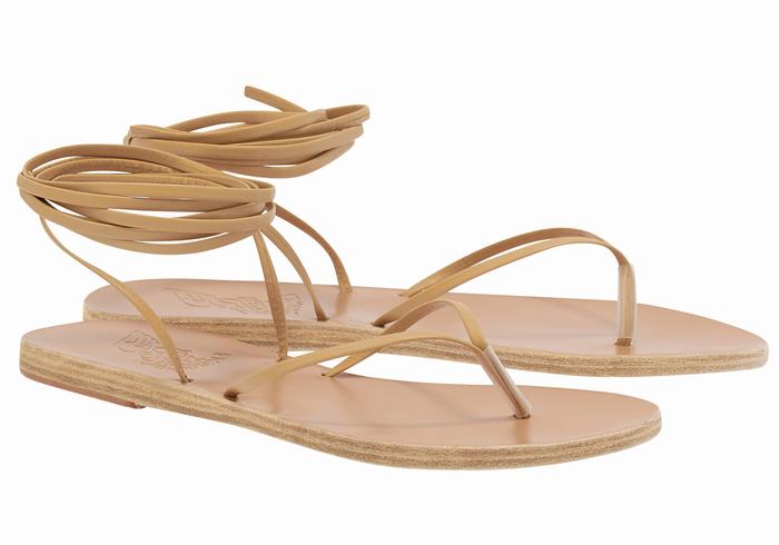 Ancient Greek Sandals Celia Women Gladiator Sandals Beige | LAE2580NU