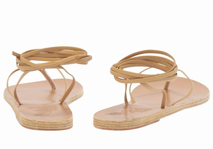 Ancient Greek Sandals Celia Women Gladiator Sandals Beige | LAE2580NU