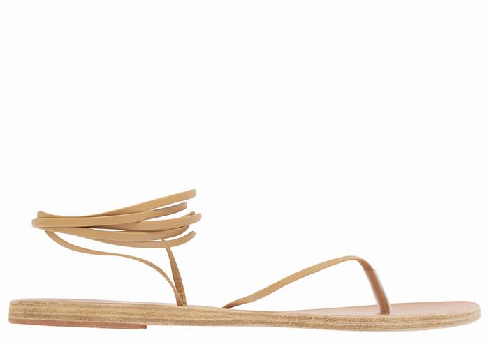 Ancient Greek Sandals Celia Women Gladiator Sandals Beige | LAE2580NU