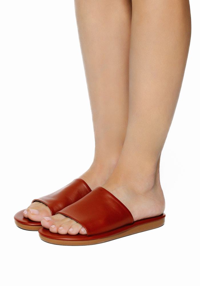 Ancient Greek Sandals Cerastes Women Slide Sandals Dark Brown | ZKG4521UQ