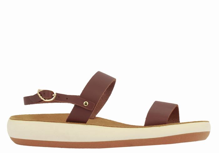 Ancient Greek Sandals Clio Comfort Women Casual Sandals Coffee | XVR8293IL