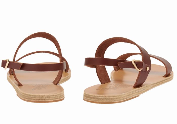 Ancient Greek Sandals Clio Women Back-Strap Sandals Coffee | VLH4866XK