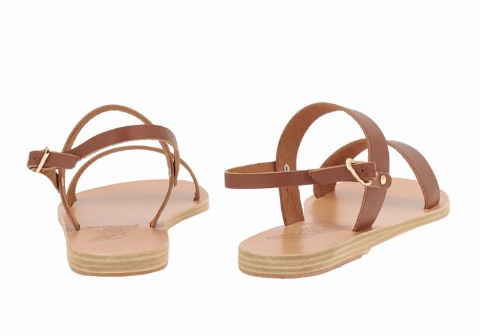 Ancient Greek Sandals Clio Women Back-Strap Sandals Dark Brown | HVV5717JB