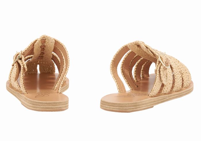 Ancient Greek Sandals Cosmia Women Fisherman Sandals Beige | TLV7471MK