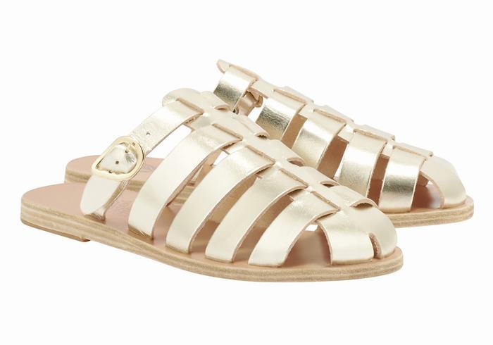 Ancient Greek Sandals Cosmia Women Fisherman Sandals Gold White | SJH5867PX