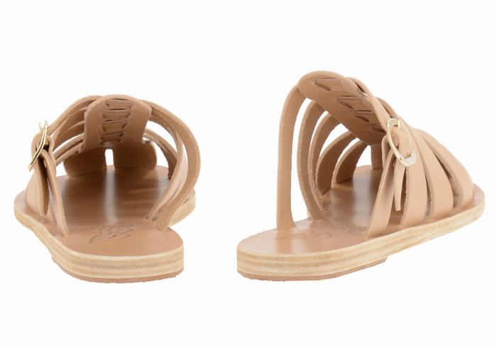 Ancient Greek Sandals Cosmia Women Fisherman Sandals Beige | TNQ2991SE