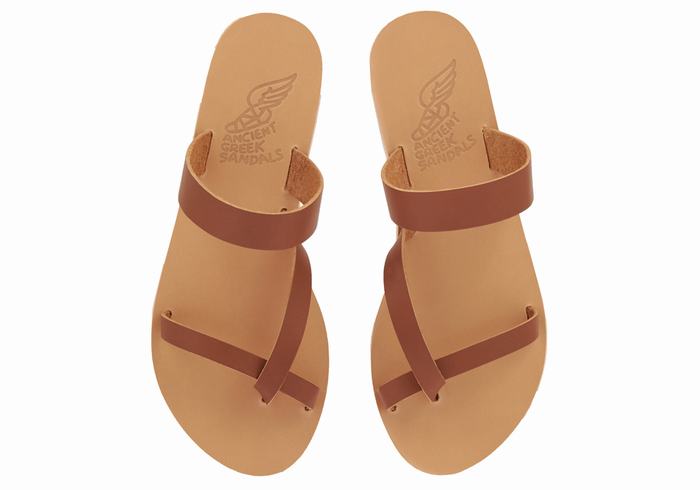 Ancient Greek Sandals Daphnae Leather Women Slide Sandals Dark Brown | FPU546UB