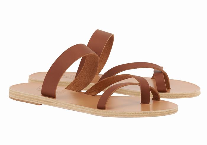 Ancient Greek Sandals Daphnae Leather Women Slide Sandals Dark Brown | FPU546UB