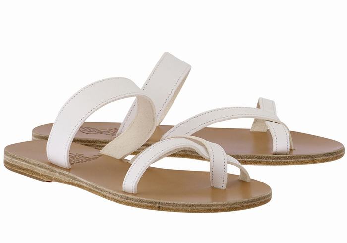 Ancient Greek Sandals Daphnae Leather Women Slide Sandals White | VMD6068PP